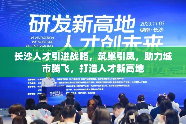 長沙人才引進戰(zhàn)略，筑巢引鳳，助力城市騰飛，打造人才新高地