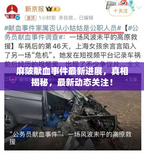 麻陂獻(xiàn)血事件最新進(jìn)展，真相揭秘，最新動(dòng)態(tài)關(guān)注！