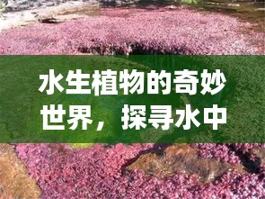 2025年3月 第6頁(yè)