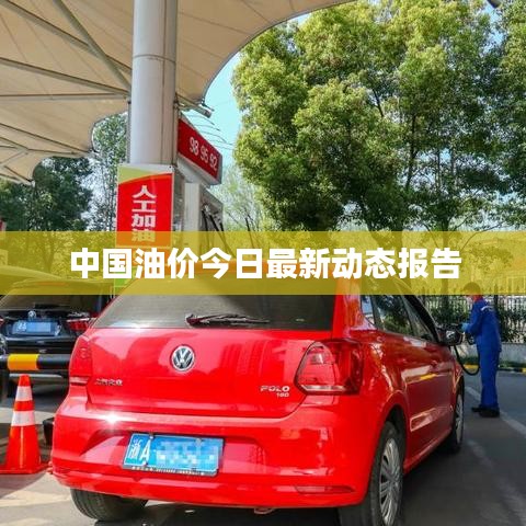 中國油價(jià)今日最新動(dòng)態(tài)報(bào)告