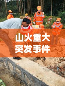 山火重大突發(fā)事件應(yīng)對(duì)與反思，如何守護(hù)綠水青山？