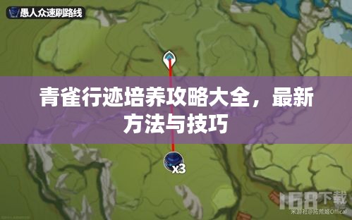 青雀行跡培養(yǎng)攻略大全，最新方法與技巧