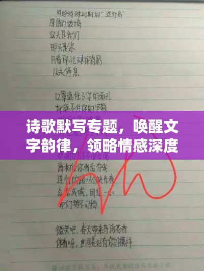 詩歌默寫專題，喚醒文字韻律，領(lǐng)略情感深度