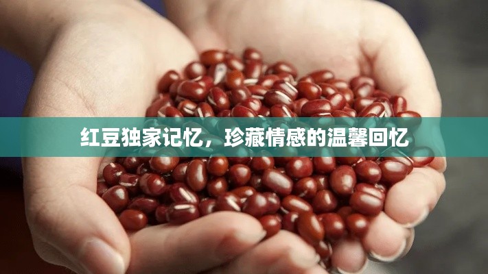 紅豆獨家記憶，珍藏情感的溫馨回憶