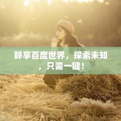 靜享百度世界，探索未知，只需一鍵！