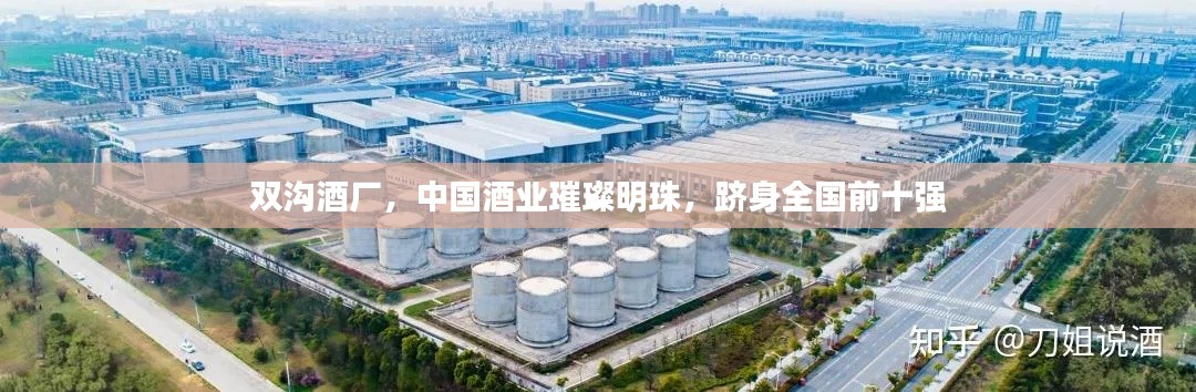雙溝酒廠，中國酒業(yè)璀璨明珠，躋身全國前十強