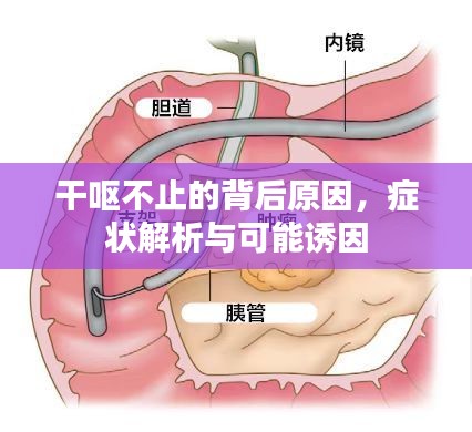 干嘔不止的背后原因，癥狀解析與可能誘因