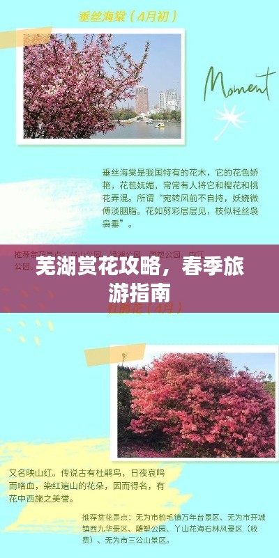 蕪湖賞花攻略，春季旅游指南