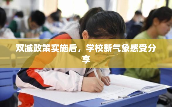 雙減政策實(shí)施后，學(xué)校新氣象感受分享