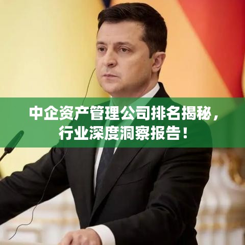 中企資產管理公司排名揭秘，行業(yè)深度洞察報告！