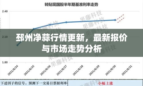 邳州凈蒜行情更新，最新報價與市場走勢分析