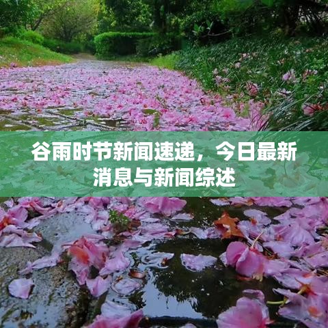 谷雨時節(jié)新聞速遞，今日最新消息與新聞綜述