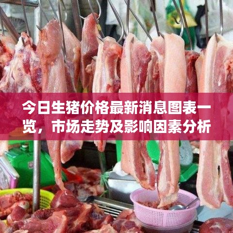 今日生豬價(jià)格最新消息圖表一覽，市場走勢(shì)及影響因素分析