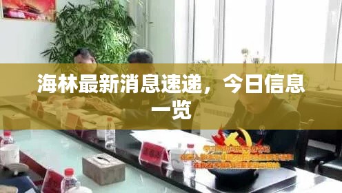 海林最新消息速遞，今日信息一覽