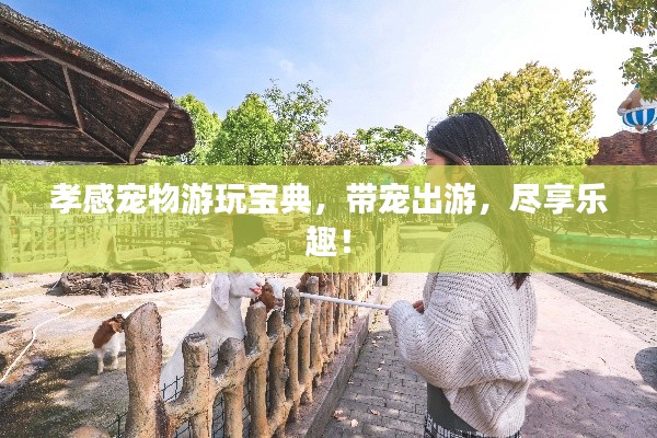 孝感寵物游玩寶典，帶寵出游，盡享樂(lè)趣！