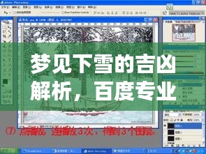 第8頁(yè)