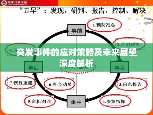 突發(fā)事件的應(yīng)對(duì)策略及未來展望深度解析