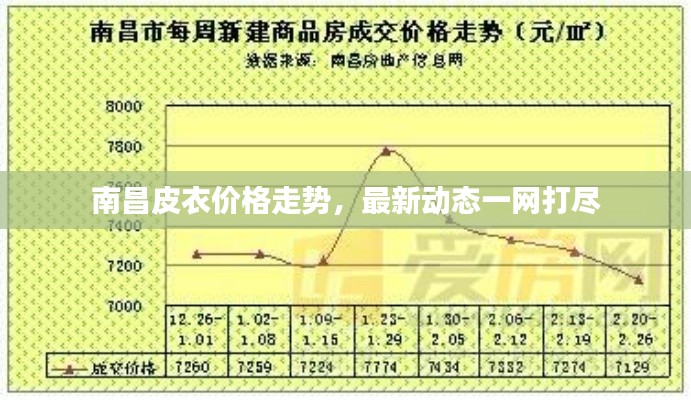 南昌皮衣價(jià)格走勢，最新動(dòng)態(tài)一網(wǎng)打盡