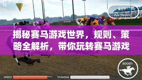 揭秘賽馬游戲世界，規(guī)則、策略全解析，帶你玩轉(zhuǎn)賽馬游戲！——百度收錄標(biāo)題
