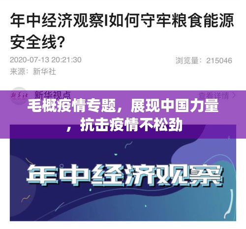 毛概疫情專題，展現(xiàn)中國力量，抗擊疫情不松勁