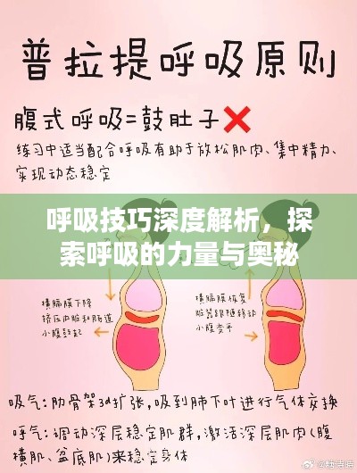 呼吸技巧深度解析，探索呼吸的力量與奧秘