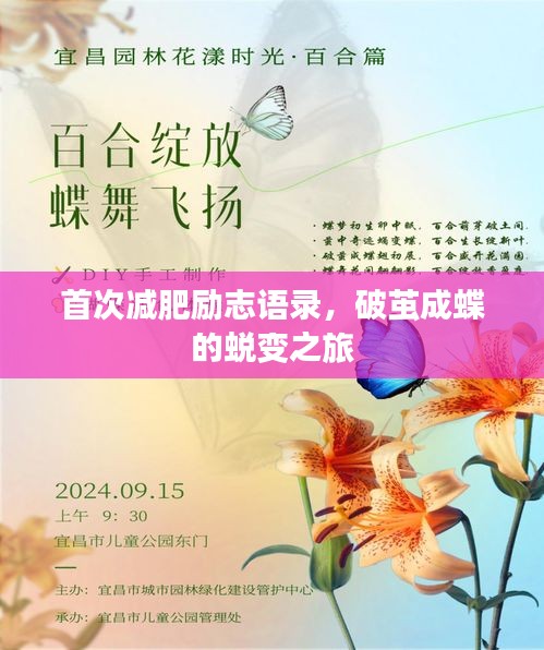 首次減肥勵志語錄，破繭成蝶的蛻變之旅