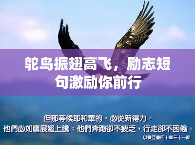 鴕鳥振翅高飛，勵志短句激勵你前行