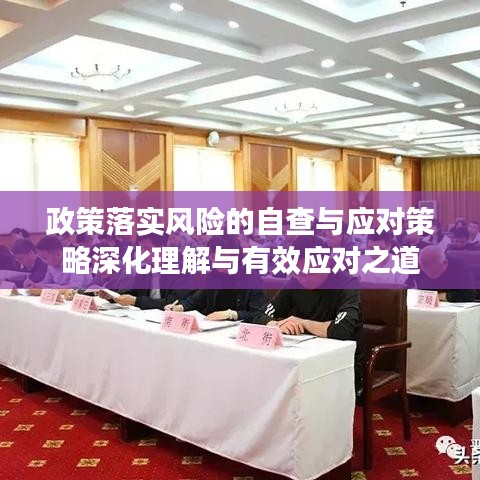 政策落實風險的自查與應對策略深化理解與有效應對之道