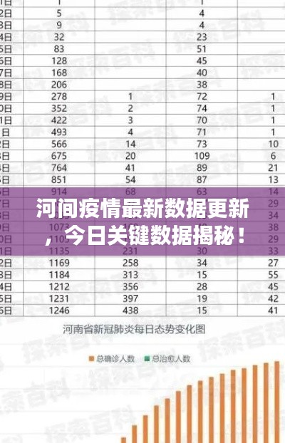 河間疫情最新數(shù)據(jù)更新，今日關(guān)鍵數(shù)據(jù)揭秘！