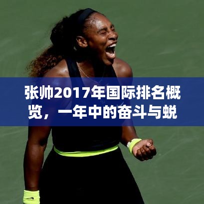 張帥2017年國際排名概覽，一年中的奮斗與蛻變