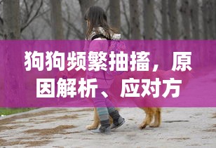 狗狗頻繁抽搐，原因解析、應對方法與關(guān)愛重點