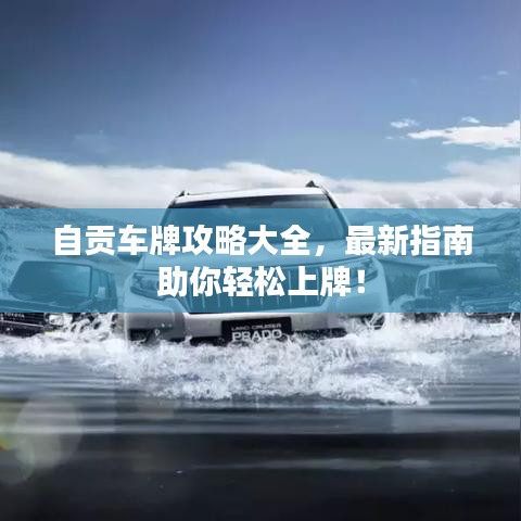 自貢車牌攻略大全，最新指南助你輕松上牌！