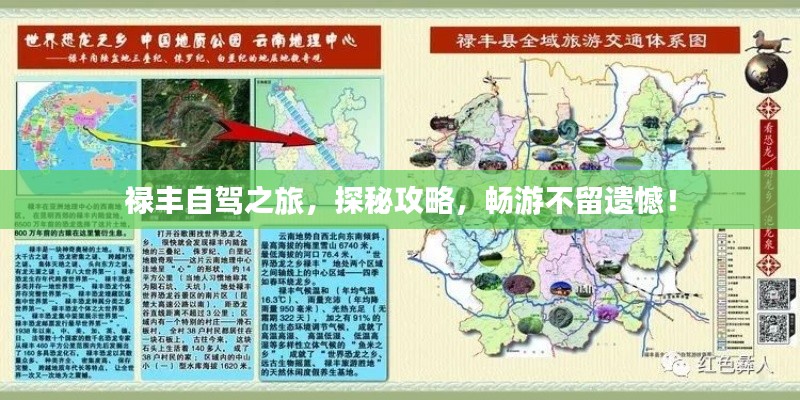 祿豐自駕之旅，探秘攻略，暢游不留遺憾！
