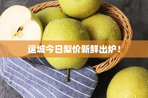 運城今日梨價新鮮出爐！