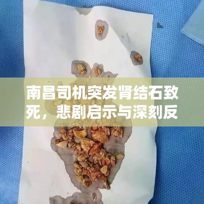 南昌司機突發(fā)腎結(jié)石致死，悲劇啟示與深刻反思