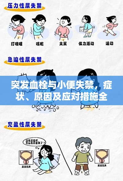 突發(fā)血栓與小便失禁，癥狀、原因及應(yīng)對措施全解析