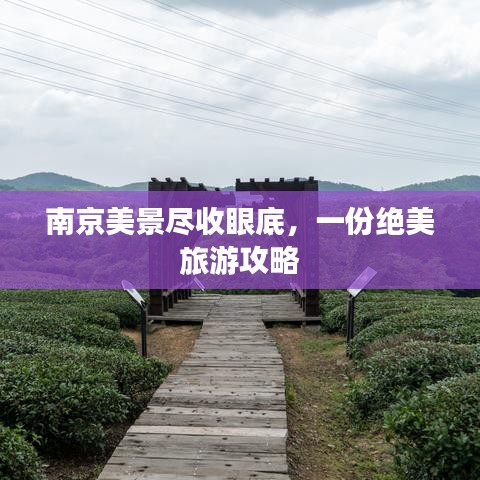 南京美景盡收眼底，一份絕美旅游攻略