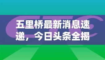 五里橋最新消息速遞，今日頭條全揭秘！