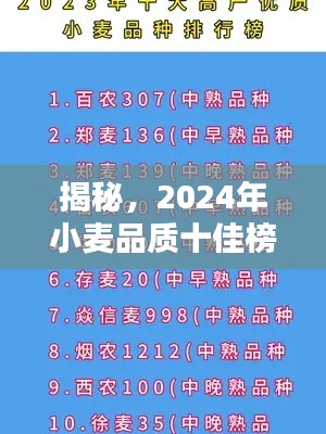 揭秘，2024年小麥品質(zhì)十佳榜單解析
