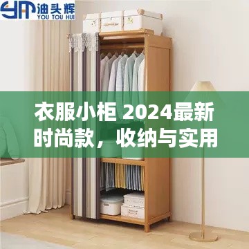 衣服小柜 2024最新時(shí)尚款，收納與實(shí)用性的極致融合