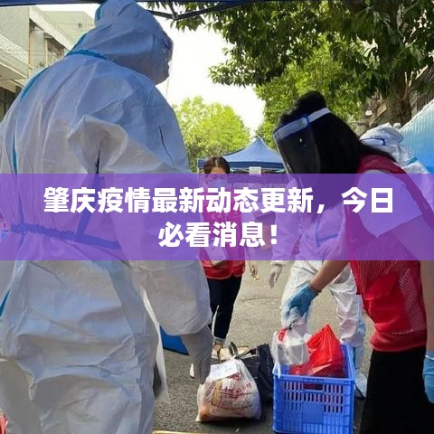 肇慶疫情最新動(dòng)態(tài)更新，今日必看消息！