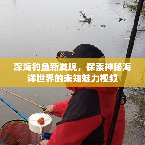 深海釣魚新發(fā)現(xiàn)，探索神秘海洋世界的未知魅力視頻