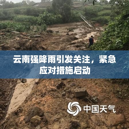 云南強(qiáng)降雨引發(fā)關(guān)注，緊急應(yīng)對(duì)措施啟動(dòng)
