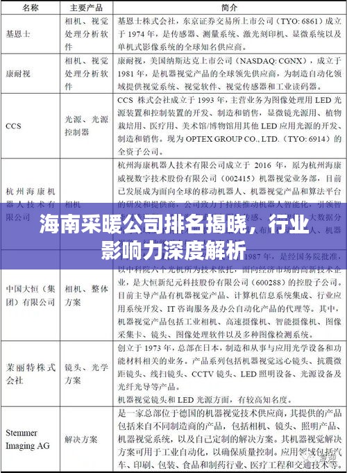 海南采暖公司排名揭曉，行業(yè)影響力深度解析
