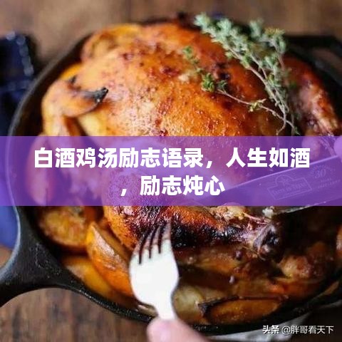 白酒雞湯勵志語錄，人生如酒，勵志燉心