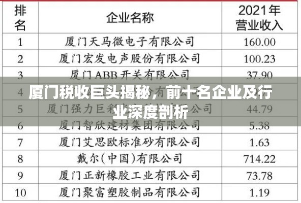 廈門稅收巨頭揭秘，前十名企業(yè)及行業(yè)深度剖析