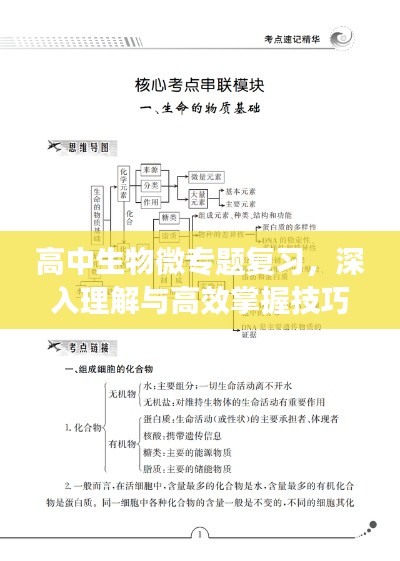 高中生物微專題復(fù)習(xí)，深入理解與高效掌握技巧