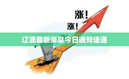 2025年5月17日 第2頁
